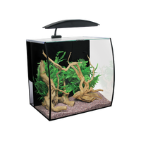 Glass Fish Tank Aquarium PNG Free Photo PNG