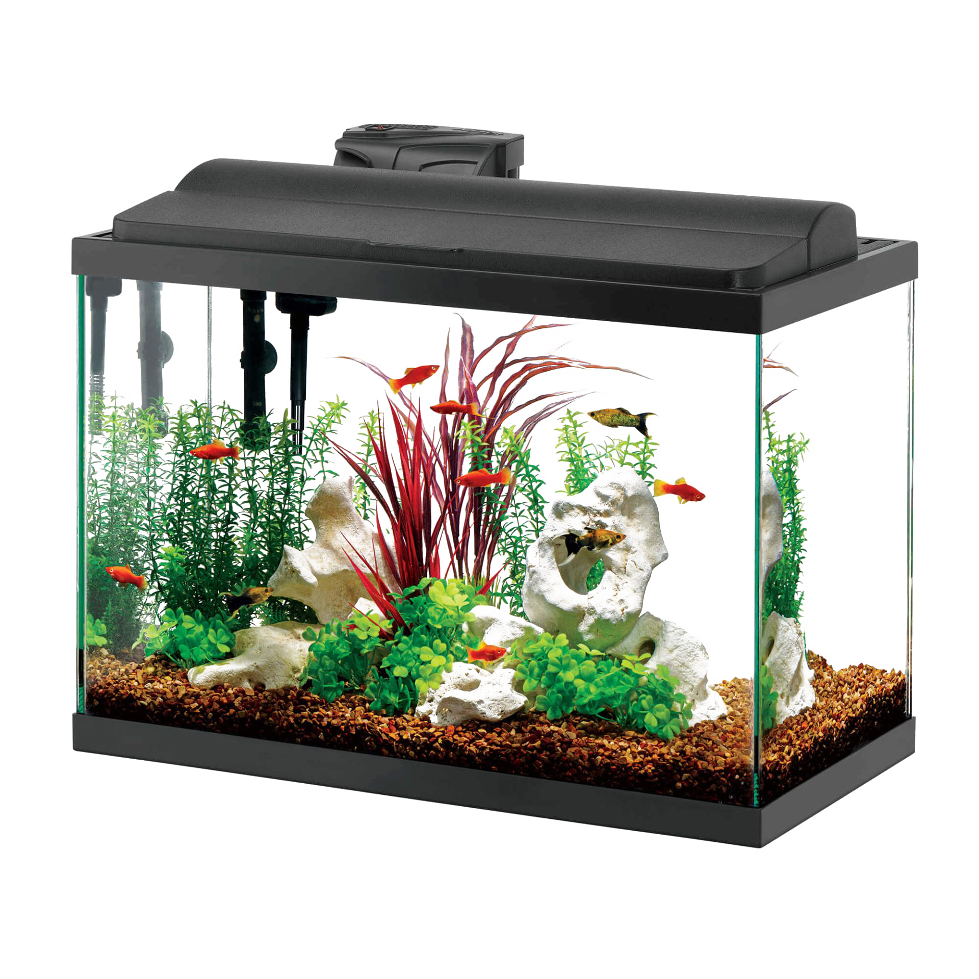Glass Fish Tank Aquarium Download HD PNG Image