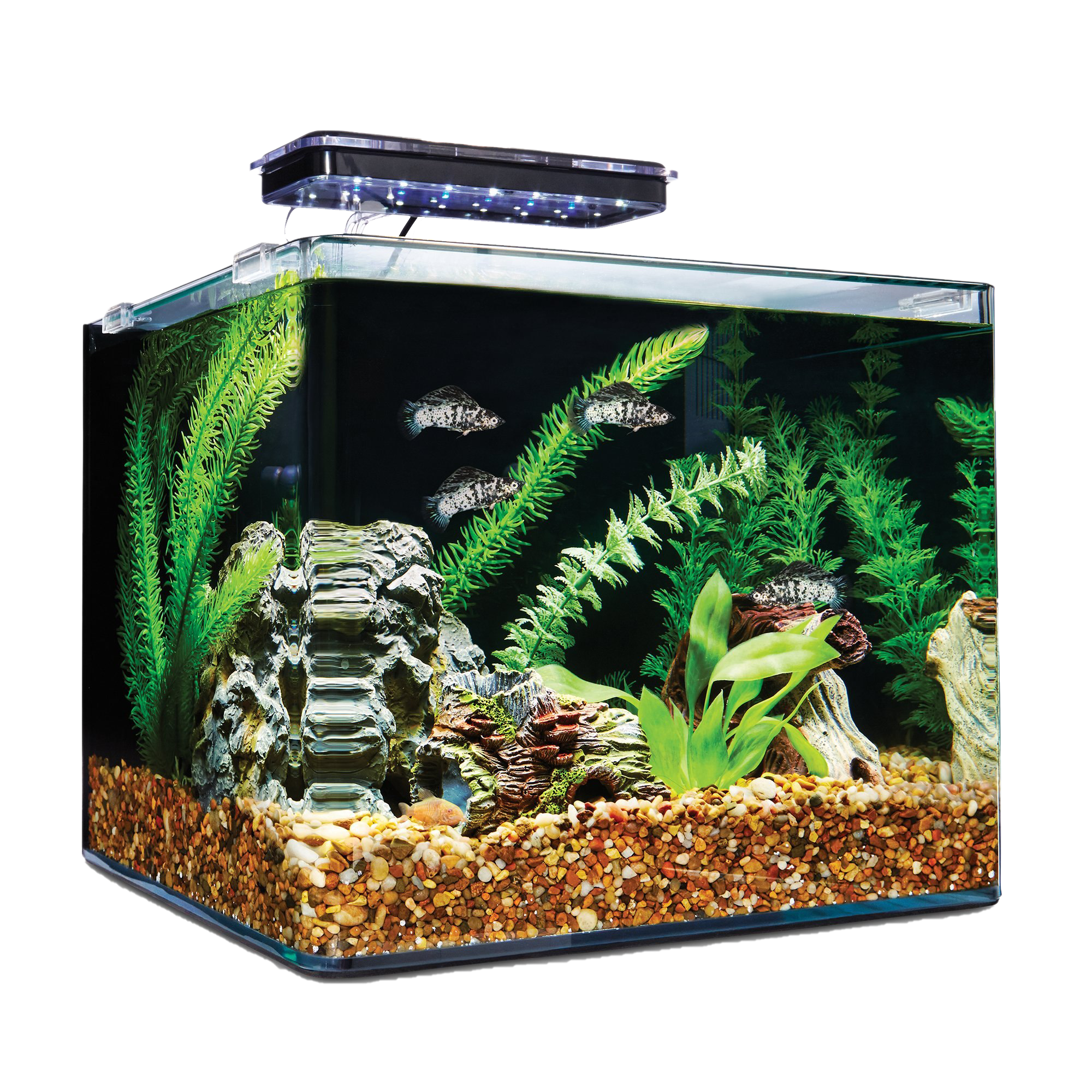 Glass Fish Tank Aquarium Free PNG HQ PNG Image