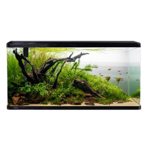 Glass Fish Tank Aquarium Free Download PNG HD PNG Image