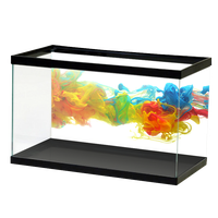 Fish Tank Aquarium Smoke PNG Download Free PNG