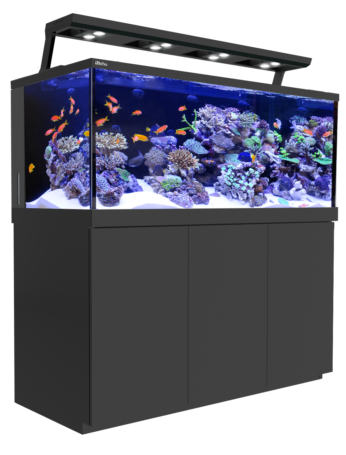 Fish Tank Aquarium Download HQ PNG Image