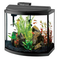 Glass Fish Tank PNG Free Photo PNG