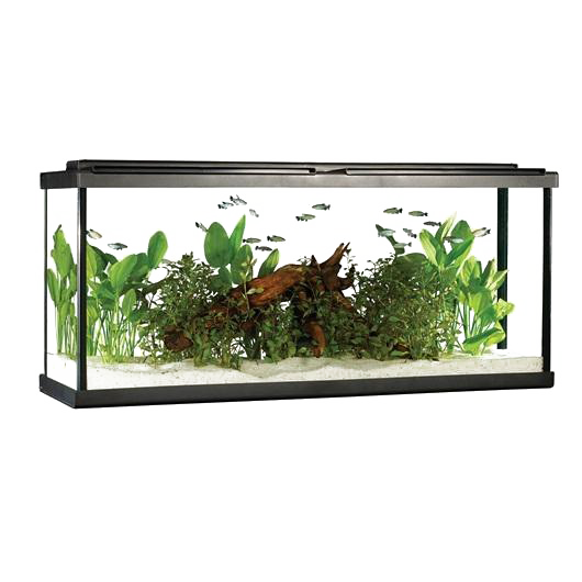 Fish Tank Rectangle Free Transparent Image HQ PNG Image