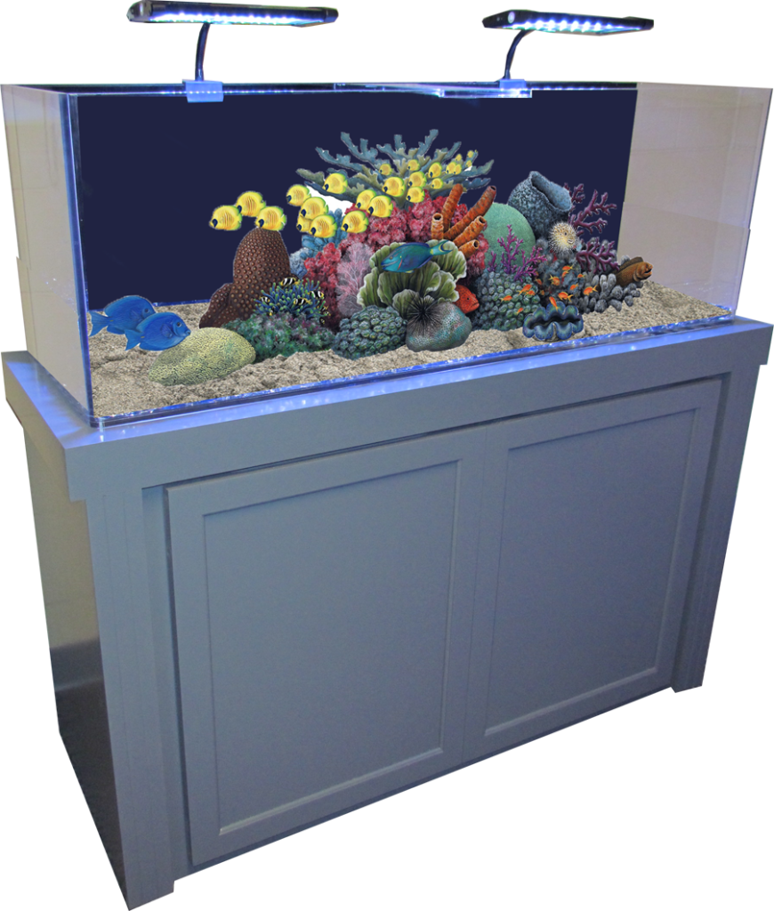 Water Fresh Fish Tank PNG Image High Quality PNG Image