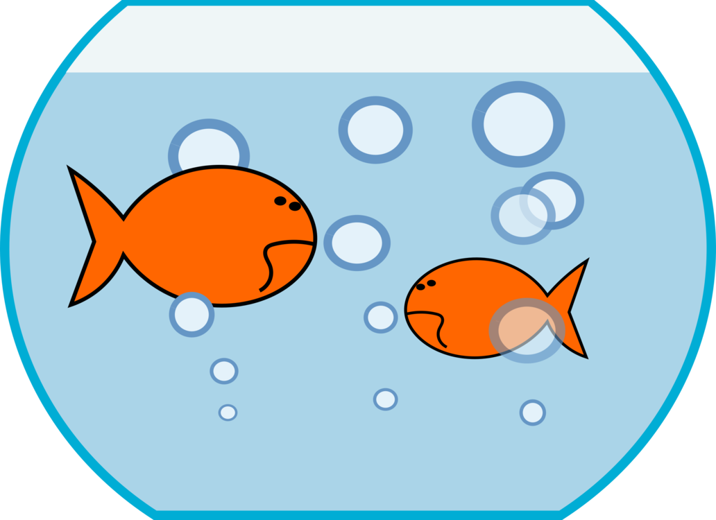 Fish Vector Tank Round PNG Image High Quality PNG Image