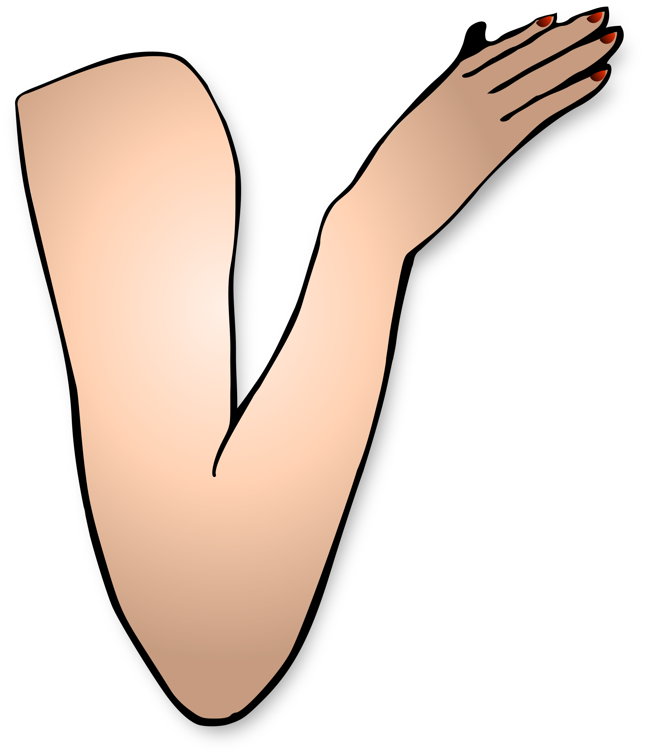 Arm Clipart