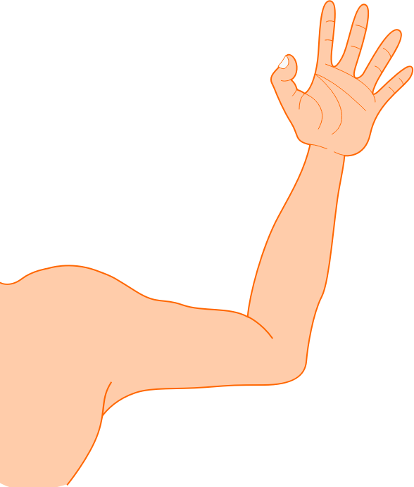 Arm Photos PNG Image