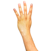 Arm Transparent Background PNG Image