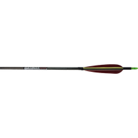 Arrow bow PNG