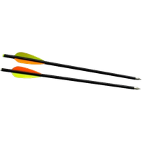 Arrow bow PNG