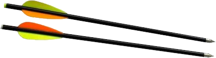 Arrow bow Transparent PNG Image