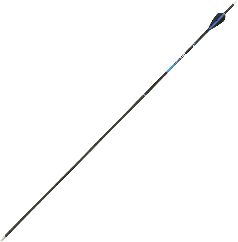 Arrow bow Transparent PNG Image