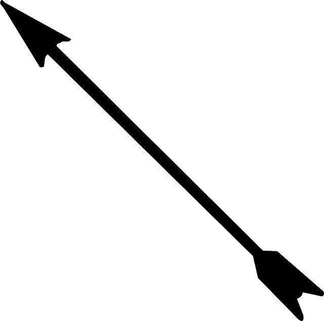 Arrow bow Transparent PNG Image