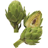 Artichoke Transparent PNG Image