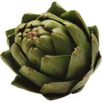 Artichoke Transparent PNG Image