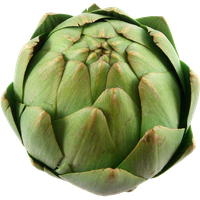Artichoke Transparent PNG Image