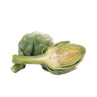 Artichokes Clipart PNG