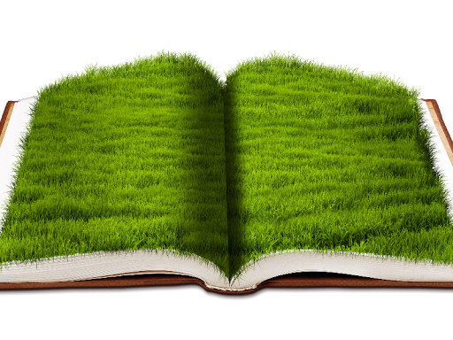 Grass Book Artificial Free PNG HQ PNG Image