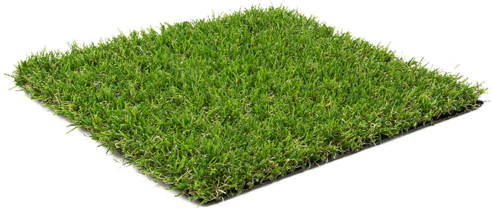 Small Grass Artificial Free HD Image PNG Image