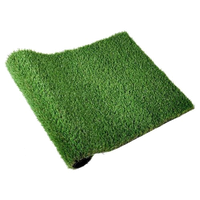 Fake Grass Download HD PNG