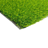 Fake Grass HD Free Download PNG HQ