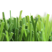 Fake Grass Free PNG HQ