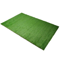 Fake Grass Photos Free PNG HQ
