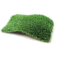 Fake Grass Picture Free Clipart HD