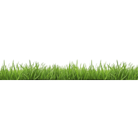 Fake Grass HD PNG Free Photo