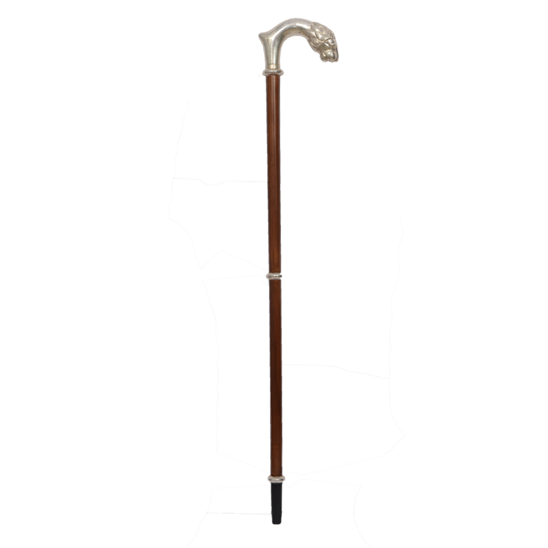 Walking Stick Free Clipart HQ Transparent PNG Image