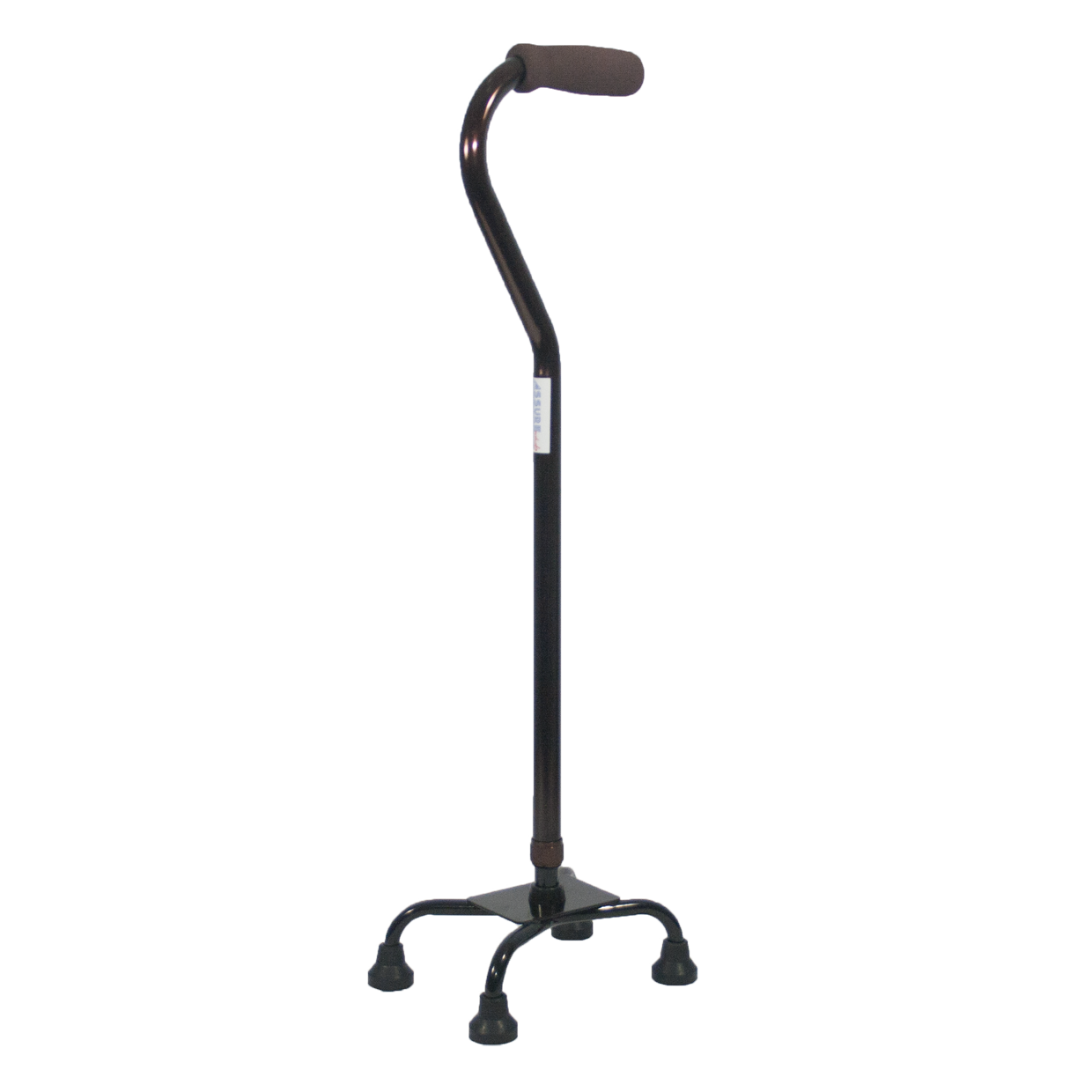 Walking Stick Picture Free Clipart HQ PNG Image