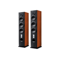Audio speaker PNG