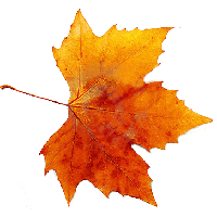 Autumn Free Png Image PNG Image