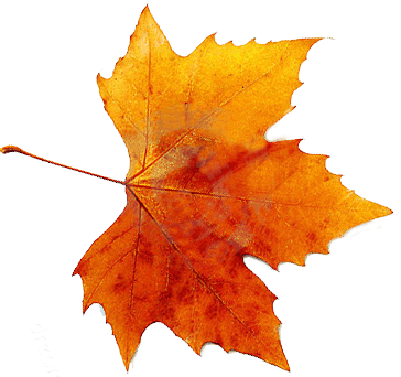 Autumn Free Png Image PNG Image