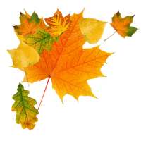 Autumn Png Clipart PNG Image