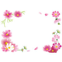 Flower Frame Autumn Others Cosmos Png.Png PNG Image