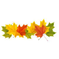 Autumn Color Leaf Tree Free Transparent Image HD PNG Image