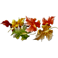 Autumn Png Hd PNG Image