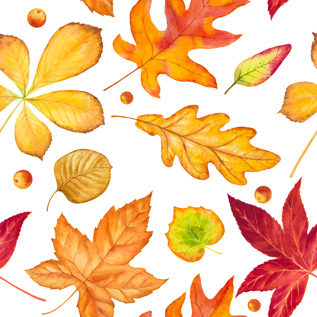 Autumn Falling Vector Leaf PNG Download Free PNG Image