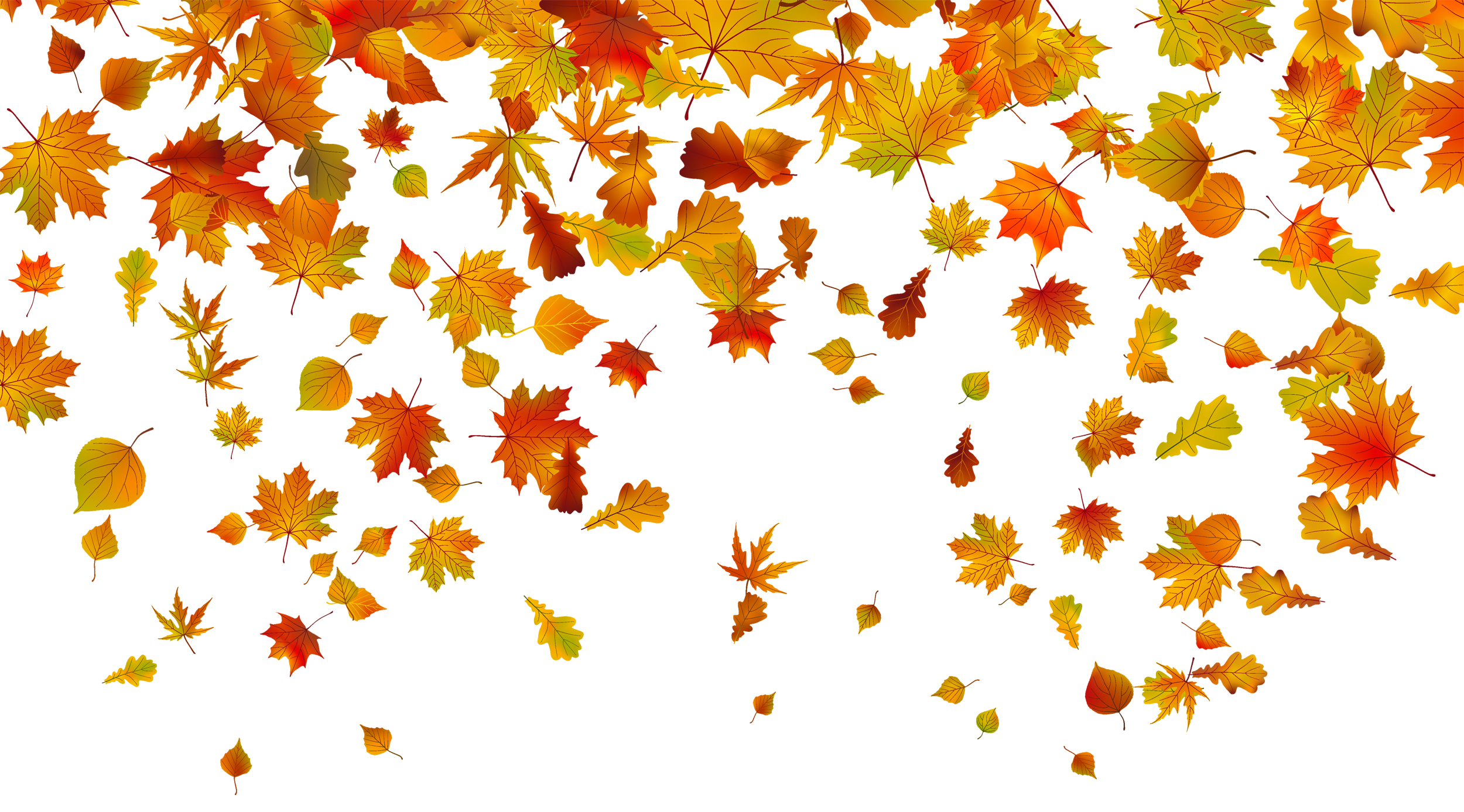 Autumn Falling Vector Leaf Download HQ PNG Image