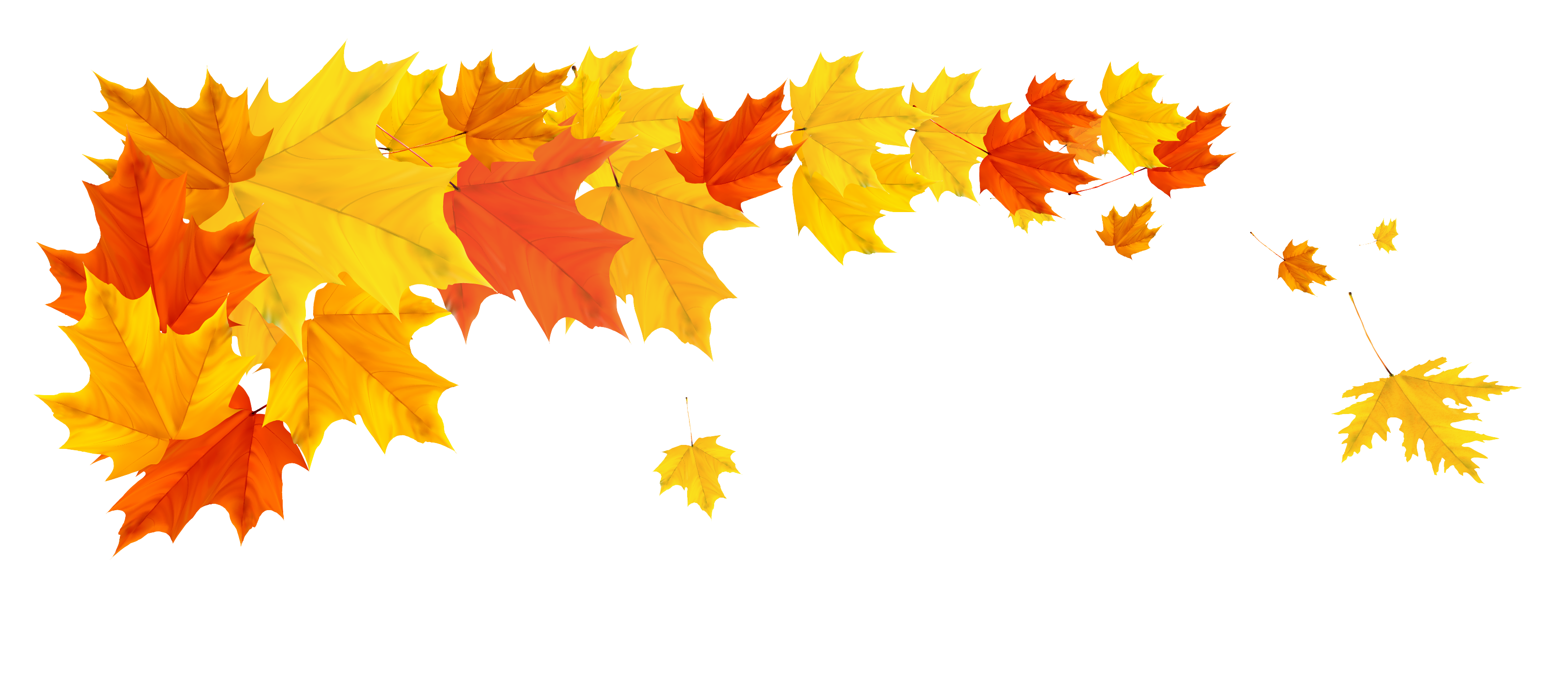 Autumn Photos Falling Vector Leaf PNG Image