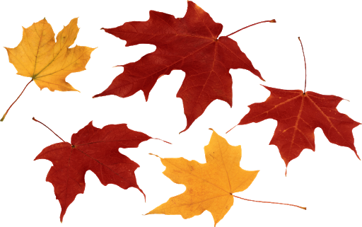 Autumn Falling Vector Leaf Download HQ PNG Image