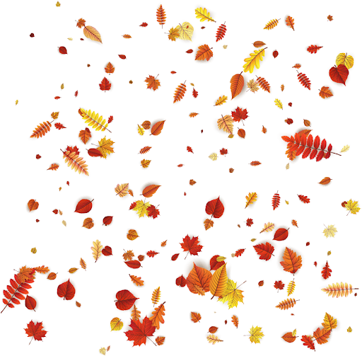 Autumn Picture Falling Vector Leaf PNG Image