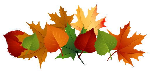 Autumn Falling Vector Leaf Free Download PNG HQ PNG Image