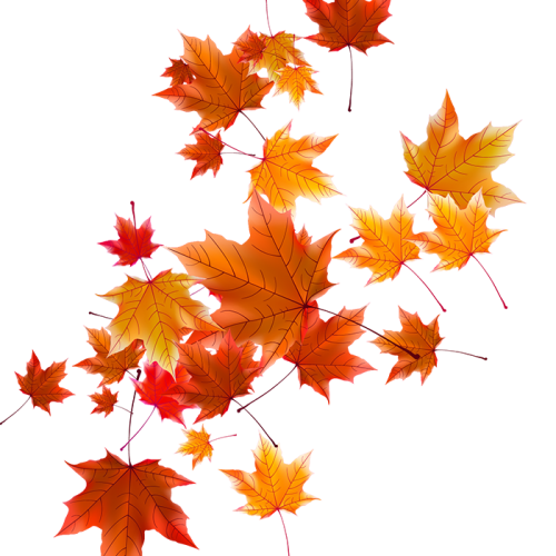 Autumn Falling Vector Leaf PNG Free Photo PNG Image
