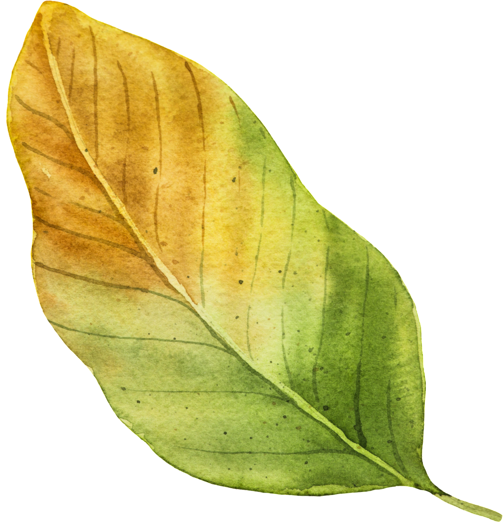 Autumn Vector Leaf Free Download PNG HD PNG Image