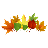 Autumn Vector Leaf Free Clipart HQ PNG