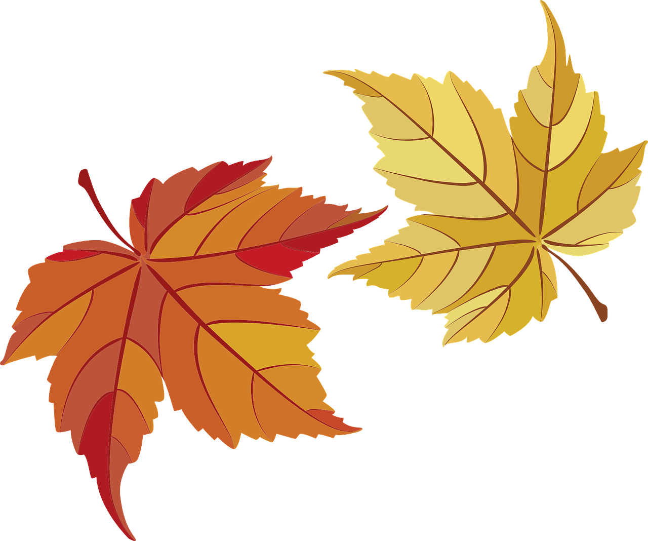 Autumn Golden Leaf PNG Download Free PNG Image