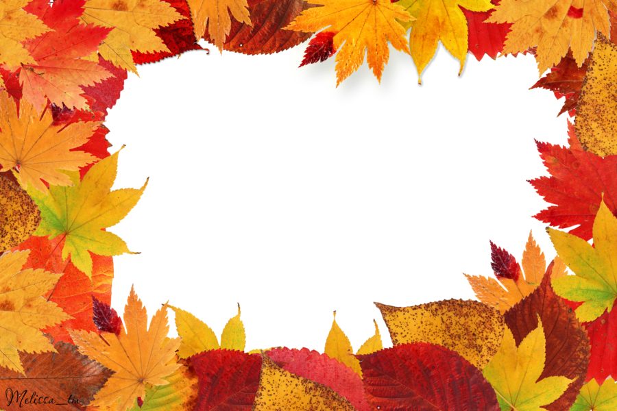 Autumn Leaf Frame PNG Image